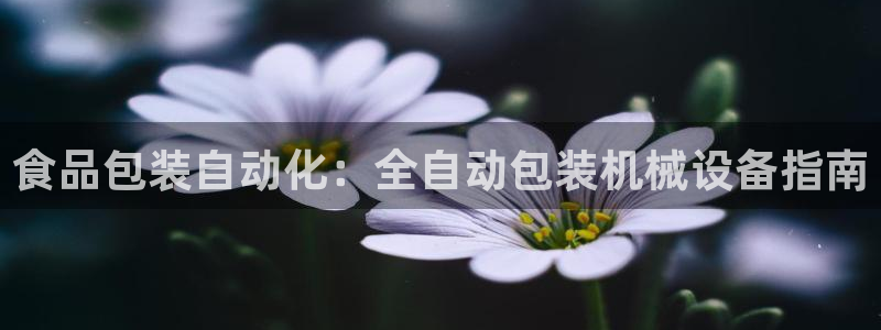 九游会j9