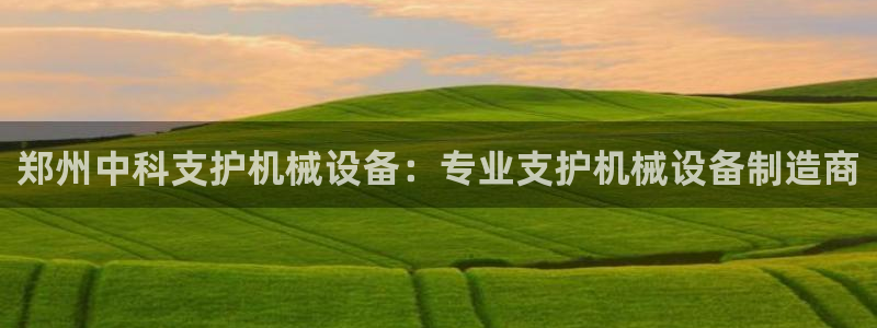 九游会官方在线