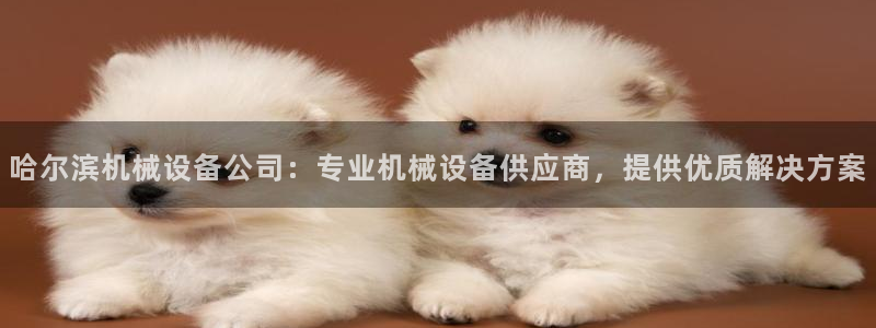 九游会视讯网站