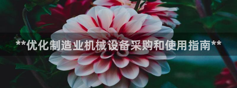 j9九游会app官网下载