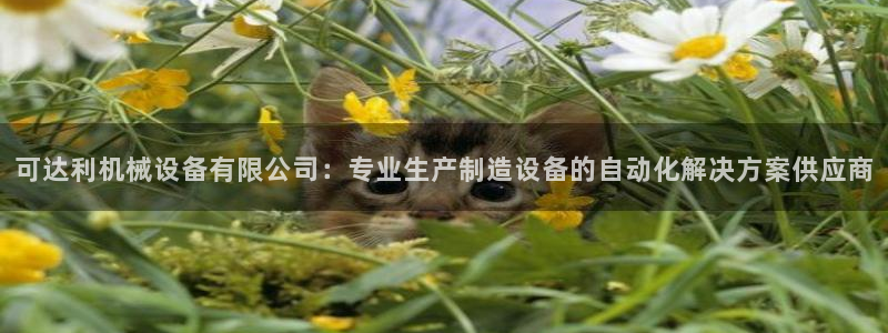 ag老玩家
