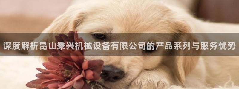 九游会老哥必备的交流社区
