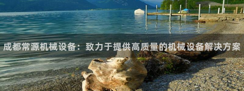 ag九游会集团