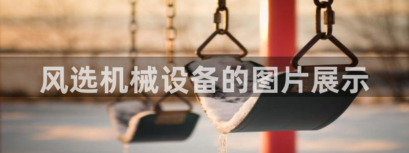 ag九游老哥俱乐部