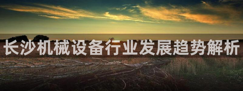 九游会官网入口ag亚洲