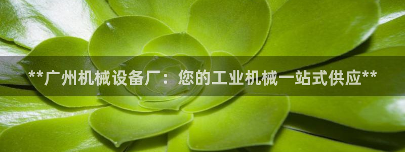 九游会提款快吗
