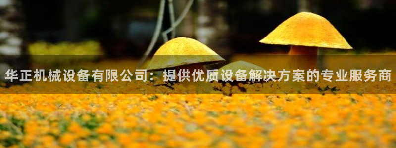 九游会平台王一博泰国