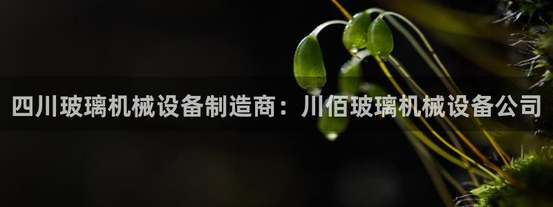 九游会亚洲