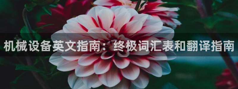 九游会官网真人