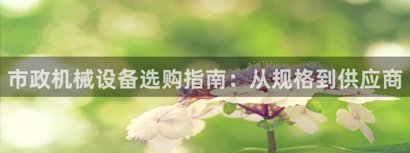 ag九游会客户端