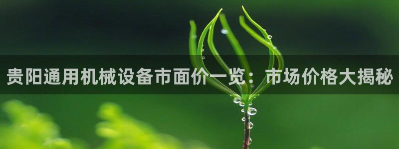 九游会ag官方网站