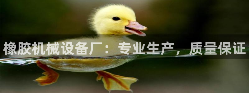 j9九游会跑路了吗