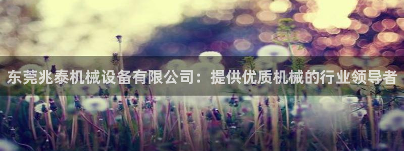 ag8九游会