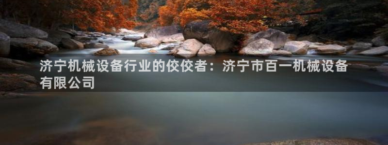 九游会是什么组织