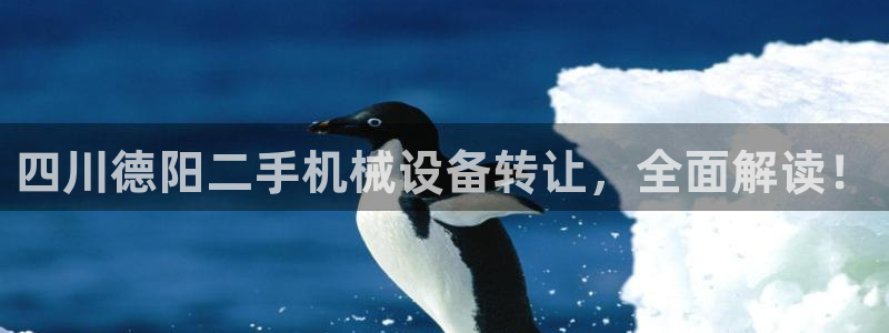 九游会网址最新