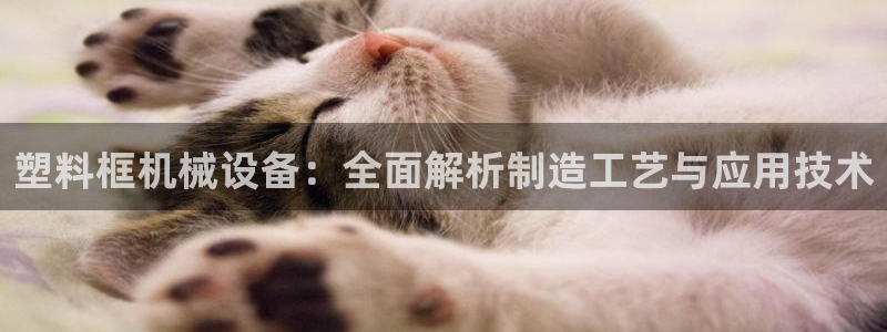九游会平台ag
