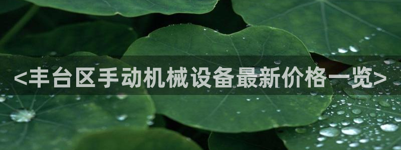 九游会官网首页进入吗