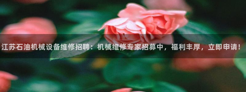 j9九游会跑路了吗