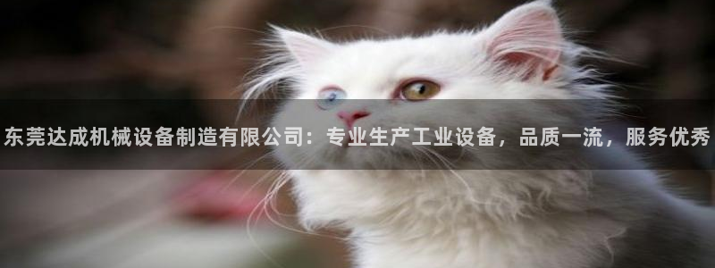 九游j9登陆