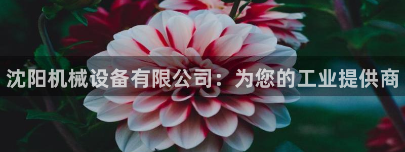 九游会老哥必备的俱乐部交流区
