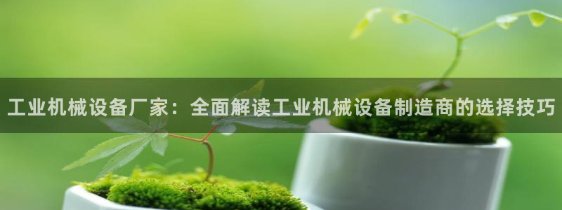 九游会大家觉得怎么样
