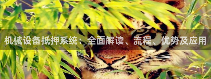 j9九游会首页入口