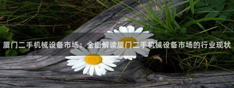 九游会官方正版下载