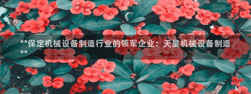 九游会官方旗舰店