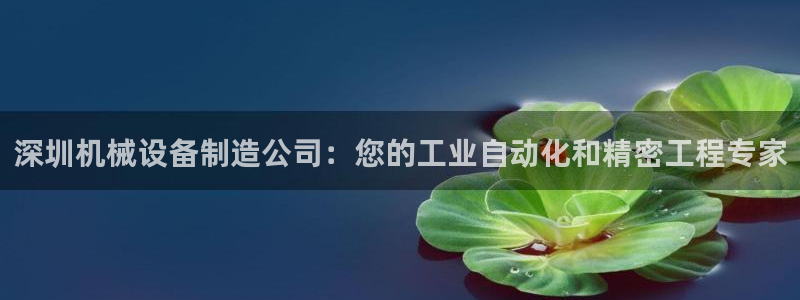 ag怎么变成九游会了