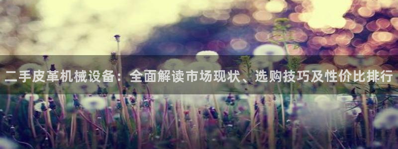 j9九游会app官网下载