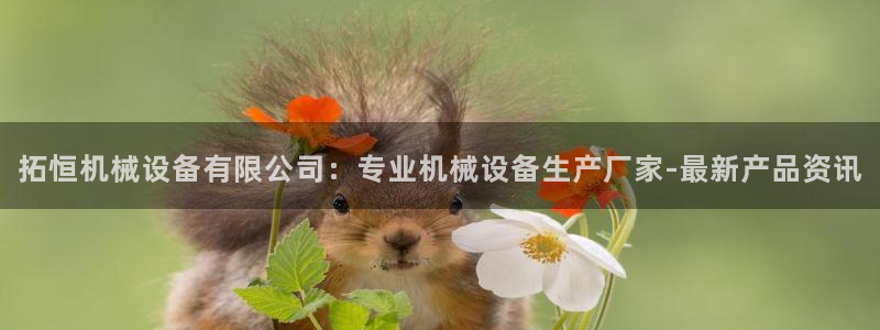 九游会是一个什么网站啊
